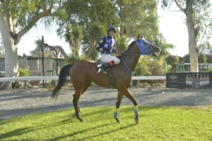 ΙΠΠΟΔΡΟΜΟΣ ΚΥΠΡΟΣ / IPPODROMOS KYPROS ΕΛΜΟΣ (ELMOS) - 24/09/2025