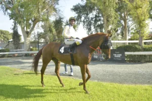 ΙΠΠΟΔΡΟΜΟΣ ΚΥΠΡΟΣ / IPPODROMOS KYPROS ΜΑΤΖΕΣΤΙΚ ΑΡΙΑ (MAJESTIC ARIA) - 03/09/2025