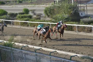 ΙΠΠΟΔΡΟΜΟΣ ΚΥΠΡΟΣ / IPPODROMOS KYPROS ΧΑΡΙΚΛΕΙΑ (CHARIKLEIA) - 03/09/2025