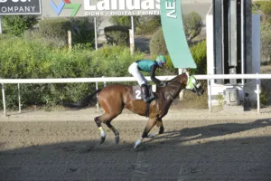 ΙΠΠΟΔΡΟΜΟΣ ΚΥΠΡΟΣ / IPPODROMOS KYPROS ΠΑΣΤΕΛΛΟ ΣΤΑΡ (PASTELLO STAR) - 28/09/2025