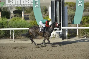 ΙΠΠΟΔΡΟΜΟΣ ΚΥΠΡΟΣ / IPPODROMOS KYPROS ΠΟΥΛΒΕΡ (ΠΟΥΛΒΕΡ) - 17/09/2025