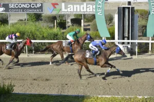 ΙΠΠΟΔΡΟΜΟΣ ΚΥΠΡΟΣ / IPPODROMOS KYPROS ΤΡΑΧΩΝΙΤΗΣ (TRACHONITIS) - 10/09/2025