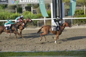 ΙΠΠΟΔΡΟΜΟΣ ΚΥΠΡΟΣ / IPPODROMOS KYPROS ΧΑΡΙΚΛΕΙΑ (CHARIKLEIA) - 03/09/2025