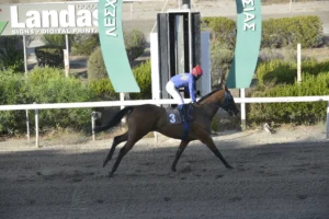 ΙΠΠΟΔΡΟΜΟΣ ΚΥΠΡΟΣ / IPPODROMOS KYPROS ΚΑΡΑΜΠΙΝΑ (KARAMPINA) - 24/09/2025