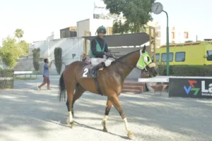 ΙΠΠΟΔΡΟΜΟΣ ΚΥΠΡΟΣ / IPPODROMOS KYPROS ΠΑΣΤΕΛΛΟ ΣΤΑΡ (PASTELLO STAR) - 28/09/2025