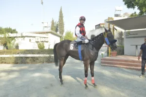 ΙΠΠΟΔΡΟΜΟΣ ΚΥΠΡΟΣ / IPPODROMOS KYPROS ΣΠΙΡΙΤ (SPIRIT) - 14/09/2024