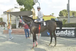 ΙΠΠΟΔΡΟΜΟΣ ΚΥΠΡΟΣ / IPPODROMOS KYPROS ΤΣΕΡΚΩΤΙΣΣΑ ΜΙΡΑΚΟΛ (TSERKOTISSA MIRACLE) - 07/09/2025