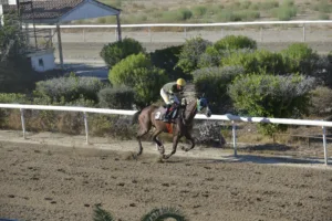 ΙΠΠΟΔΡΟΜΟΣ ΚΥΠΡΟΣ / IPPODROMOS KYPROS ΔΙΑΘΗΚΗ (DIATHIKI) - 10/09/2025