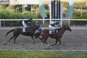 ΙΠΠΟΔΡΟΜΟΣ ΚΥΠΡΟΣ / IPPODROMOS KYPROS ΜΙΚΡΟΣ ΚΥΡΙΑΚΟΣ (MIKROS KYRIAKOS) - 24/09/2025