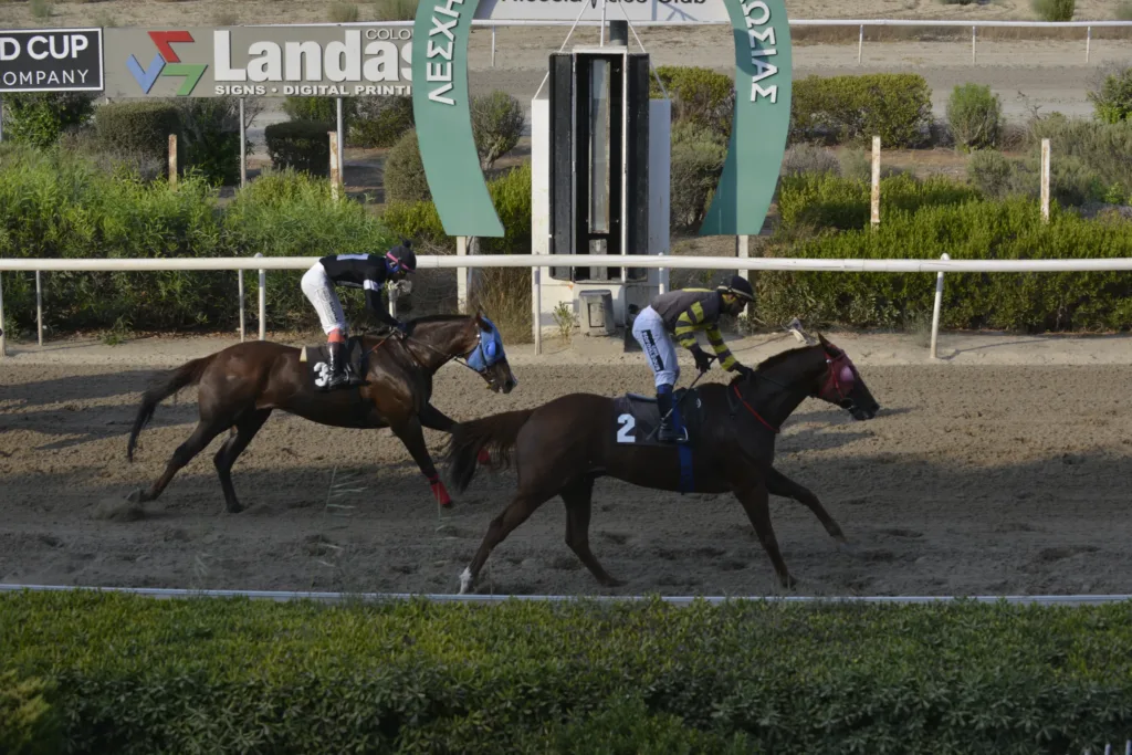 Ο Αντρέλεφ Σέηλ 11 μήκη σε ρυθμό προπόνησης 2 ΙΠΠΟΔΡΟΜΟΣ ΚΥΠΡΟΣ / IPPODROMOS KYPROS ΜΙΚΡΟΣ ΚΥΡΙΑΚΟΣ (MIKROS KYRIAKOS) - 14/09/2025