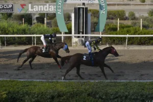 ΙΠΠΟΔΡΟΜΟΣ ΚΥΠΡΟΣ / IPPODROMOS KYPROS ΜΙΚΡΟΣ ΚΥΡΙΑΚΟΣ (MIKROS KYRIAKOS) - 14/09/2025