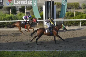 ΙΠΠΟΔΡΟΜΟΣ ΚΥΠΡΟΣ / IPPODROMOS KYPROS ΤΣΕΡΚΩΤΗΣ ΨΥΛΛΟΣ (TSERKOTIS PSILLOS) - 03/09/2025