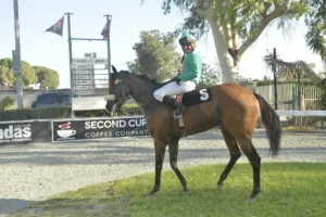 ΙΠΠΟΔΡΟΜΟΣ ΚΥΠΡΟΣ / IPPODROMOS KYPROS ΧΑΒΑΗ ΡΕΠΕΤΙΣΙΟΝ (HAWAII REPETITION) - 17/09/2025