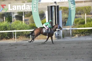 ΙΠΠΟΔΡΟΜΟΣ ΚΥΠΡΟΣ / IPPODROMOS KYPROS ΑΝΤΡΕΛΕΦ ΣΕΗΛ (ANDRELEF SALE) - 14/09/2025