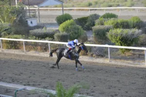 ΙΠΠΟΔΡΟΜΟΣ ΚΥΠΡΟΣ / IPPODROMOS KYPROS ΕΛΛΑ ΜΠΕΛΑ ΜΙΝΓΚΟ (ELLA BELLA BINGO) - 03/09/2025