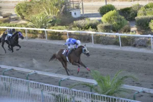 ΙΠΠΟΔΡΟΜΟΣ ΚΥΠΡΟΣ / IPPODROMOS KYPROS ΚΙΝΓΚ ΨΥΛΛΟΣ (KING PSYLLOS) - 21/09/2025