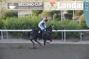 ΙΠΠΟΔΡΟΜΟΣ ΚΥΠΡΟΣ / IPPODROMOS KYPROS ΣΑΣΜΟΣ (SASMOS) - 28/09/2025