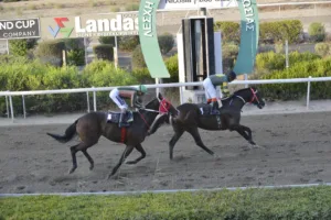 ΙΠΠΟΔΡΟΜΟΣ ΚΥΠΡΟΣ / IPPODROMOS KYPROS ΣΤΟΡΜΥ ΒΙΚΤΩΡ (STORMY VICTOR) - 07/09/2025