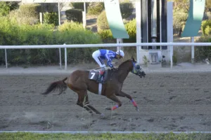 ΙΠΠΟΔΡΟΜΟΣ ΚΥΠΡΟΣ / IPPODROMOS KYPROS ΚΙΝΓΚ ΨΥΛΛΟΣ (KING PSYLLOS) - 21/09/2025