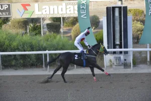 ΙΠΠΟΔΡΟΜΟΣ ΚΥΠΡΟΣ / IPPODROMOS KYPROS ΣΑΣΜΟΣ (SASMOS) - 28/09/2025