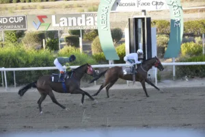 ΙΠΠΟΔΡΟΜΟΣ ΚΥΠΡΟΣ / IPPODROMOS KYPROS ΑΝΤΡΕΛΕΦ ΣΕΗΛ (ANDRELEF SALE) - 10/09/2025