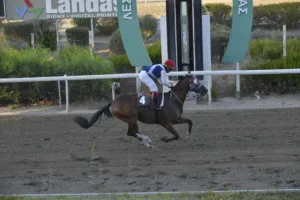 ΙΠΠΟΔΡΟΜΟΣ ΚΥΠΡΟΣ / IPPODROMOS KYPROS ΕΞΚΑΛΙΜΠΕΡ (EXCALIBUR) - 21/09/2025