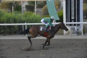 ΙΠΠΟΔΡΟΜΟΣ ΚΥΠΡΟΣ / IPPODROMOS KYPROS ΧΑΒΑΗ ΜΠΟΣ (HAWAII BOSS) - 28/09/2025