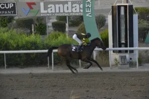 ΙΠΠΟΔΡΟΜΟΣ ΚΥΠΡΟΣ / IPPODROMOS KYPROS ΙΝΤΙΓΚΟ ΤΣΙΑΝΣ (INDIGO CHANCE) - 07/09/2025