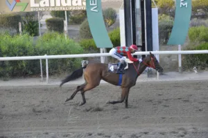 ΙΠΠΟΔΡΟΜΟΣ ΚΥΠΡΟΣ / IPPODROMOS KYPROS ΚΑΡΑΦΙΛΙΑ (KARAFILIA) - 14/09/2025