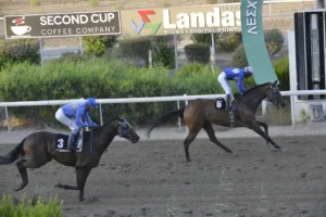 ΙΠΠΟΔΡΟΜΟΣ ΚΥΠΡΟΣ / IPPODROMOS KYPROS ΜΗΔΕΙΑ (MIDIA) - 17/09/2025