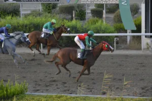 ΙΠΠΟΔΡΟΜΟΣ ΚΥΠΡΟΣ / IPPODROMOS KYPROS ΒΕΣΕΛΙΝΑ ΤΑΠ (VESELINA TAP) - 03/09/2025