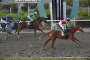 ΙΠΠΟΔΡΟΜΟΣ ΚΥΠΡΟΣ / IPPODROMOS KYPROS ΒΕΣΕΛΙΝΑ ΤΑΠ (VESELINA TAP) - 03/09/2025