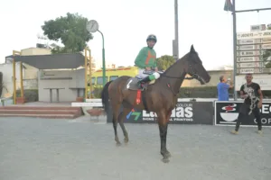 ΙΠΠΟΔΡΟΜΟΣ ΚΥΠΡΟΣ / IPPODROMOS KYPROS ΧΑΒΑΗ ΜΠΟΣ (HAWAII BOSS) - 28/09/2025