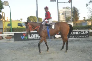 ΙΠΠΟΔΡΟΜΟΣ ΚΥΠΡΟΣ / IPPODROMOS KYPROS ΚΑΡΑΦΙΛΙΑ (KARAFILIA) - 14/09/2025