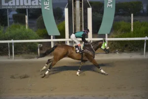 ΙΠΠΟΔΡΟΜΟΣ ΚΥΠΡΟΣ / IPPODROMOS KYPROS ΠΑΣΤΕΛΛΟ ΣΤΑΡ (PASTELLO STAR) - 14/09/2025