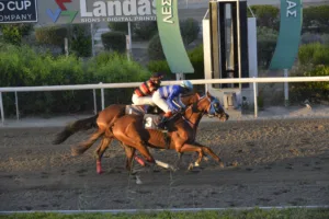 ΙΠΠΟΔΡΟΜΟΣ ΚΥΠΡΟΣ / IPPODROMOS KYPROS ΣΕΡ ΑΙΚ (SIR IKE) - 10/09/2025