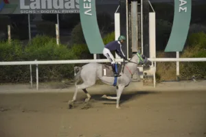 ΙΠΠΟΔΡΟΜΟΣ ΚΥΠΡΟΣ / IPPODROMOS KYPROS ΒΕΝΤΟ ΑΝΤΩΝΑΚΗΣ (VENTO ANTONAKIS) - 03/09/2025