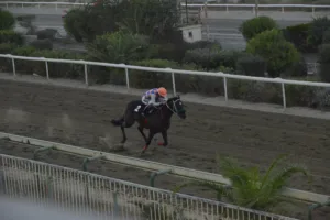 ΙΠΠΟΔΡΟΜΟΣ ΚΥΠΡΟΣ / IPPODROMOS KYPROS ΦΡΟΥΤΜΑΝ (FRUITMAN) - 21/09/2025