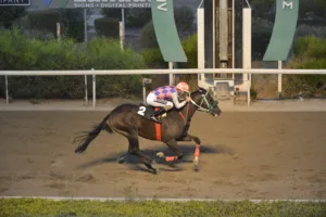 ΙΠΠΟΔΡΟΜΟΣ ΚΥΠΡΟΣ / IPPODROMOS KYPROS ΦΡΟΥΤΜΑΝ (FRUITMAN) - 21/09/2025