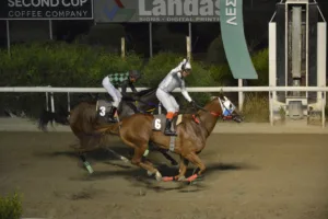 ΙΠΠΟΔΡΟΜΟΣ ΚΥΠΡΟΣ / IPPODROMOS KYPROS ΑΥΤΟΥ ΜΕΓΑΛΕΙΟΤΗΣ (AFTOU MEGALIOTIS) - 17/09/2025