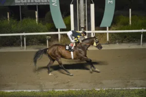 ΙΠΠΟΔΡΟΜΟΣ ΚΥΠΡΟΣ / IPPODROMOS KYPROS ΚΑΡΠΟΖΗΛΟΣ (KARPOZILOS) - 21/09/2025