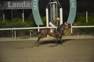 ΙΠΠΟΔΡΟΜΟΣ ΚΥΠΡΟΣ / IPPODROMOS KYPROS ΚΑΤΑΚΛΥΣΜΟΣ (KATAKLYSMOS) - 03/09/2025