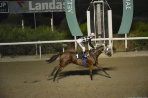 ΙΠΠΟΔΡΟΜΟΣ ΚΥΠΡΟΣ / IPPODROMOS KYPROS ΡΟΥΜΠΥ ΓΑΛΑΤΕΙΑ (RUBY GALATIA)  - 24/09/2025