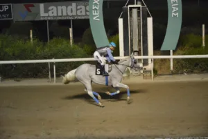 ΙΠΠΟΔΡΟΜΟΣ ΚΥΠΡΟΣ / IPPODROMOS KYPROS ΣΑΒΑΝ ΑΛΚΙΝΟΟΣ (SAVAN ALKINOOS) - 14/09/2024