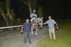 ΙΠΠΟΔΡΟΜΟΣ ΚΥΠΡΟΣ / IPPODROMOS KYPROS ΣΑΒΑΝ ΑΛΚΙΝΟΟΣ (SAVAN ALKINOOS) - 14/09/2024