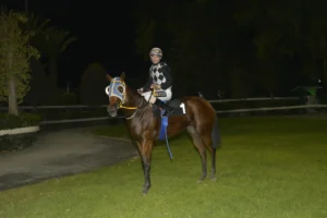 ΙΠΠΟΔΡΟΜΟΣ ΚΥΠΡΟΣ / IPPODROMOS KYPROS ΡΟΥΜΠΥ ΓΑΛΑΤΕΙΑ (RUBY GALATIA)  - 24/09/2025