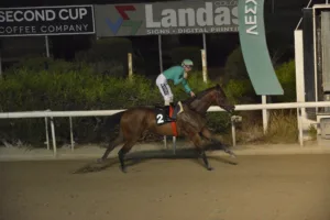 ΙΠΠΟΔΡΟΜΟΣ ΚΥΠΡΟΣ / IPPODROMOS  KYPROS ΧΑΒΑΗ ΜΠΟΣ (HAWAII BOSS) - 03/09/2025