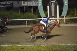 ΙΠΠΟΔΡΟΜΟΣ ΚΥΠΡΟΣ / IPPODROMOS KYPROS ΚΙΝΥΡΑΣ (KINYRAS) - 21/09/2025