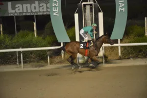 ΙΠΠΟΔΡΟΜΟΣ ΚΥΠΡΟΣ / IPPODROMOS  KYPROS ΧΑΒΑΗ ΜΠΟΣ (HAWAII BOSS) - 03/09/2025