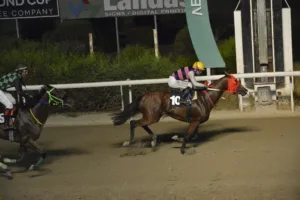 ΙΠΠΟΔΡΟΜΟΣ ΚΥΠΡΟΣ / IPPODROMOS KYPROS ΤΑΡΑΣ ΠΑΣΙΟΝ (TARAS PASSION) - 03/09/2025